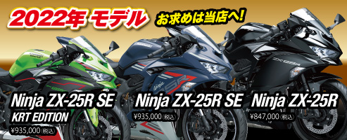 Ninja ZX-25R