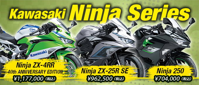 Kawasaki Ninja Series